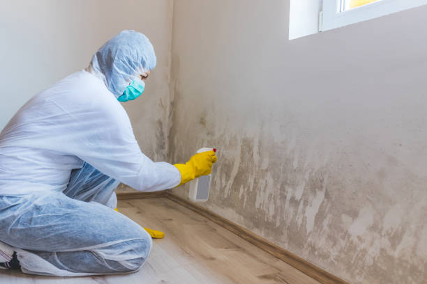 Licensed Mold Testing service in Haltom City, TX - WQB Mold Removal