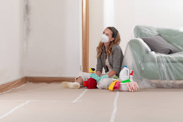 Reliable Mold Testing contractor in Haltom City, TX by WQB Mold Removal