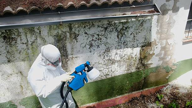 Top rated local Mold Testing specialists in Haltom City, TX